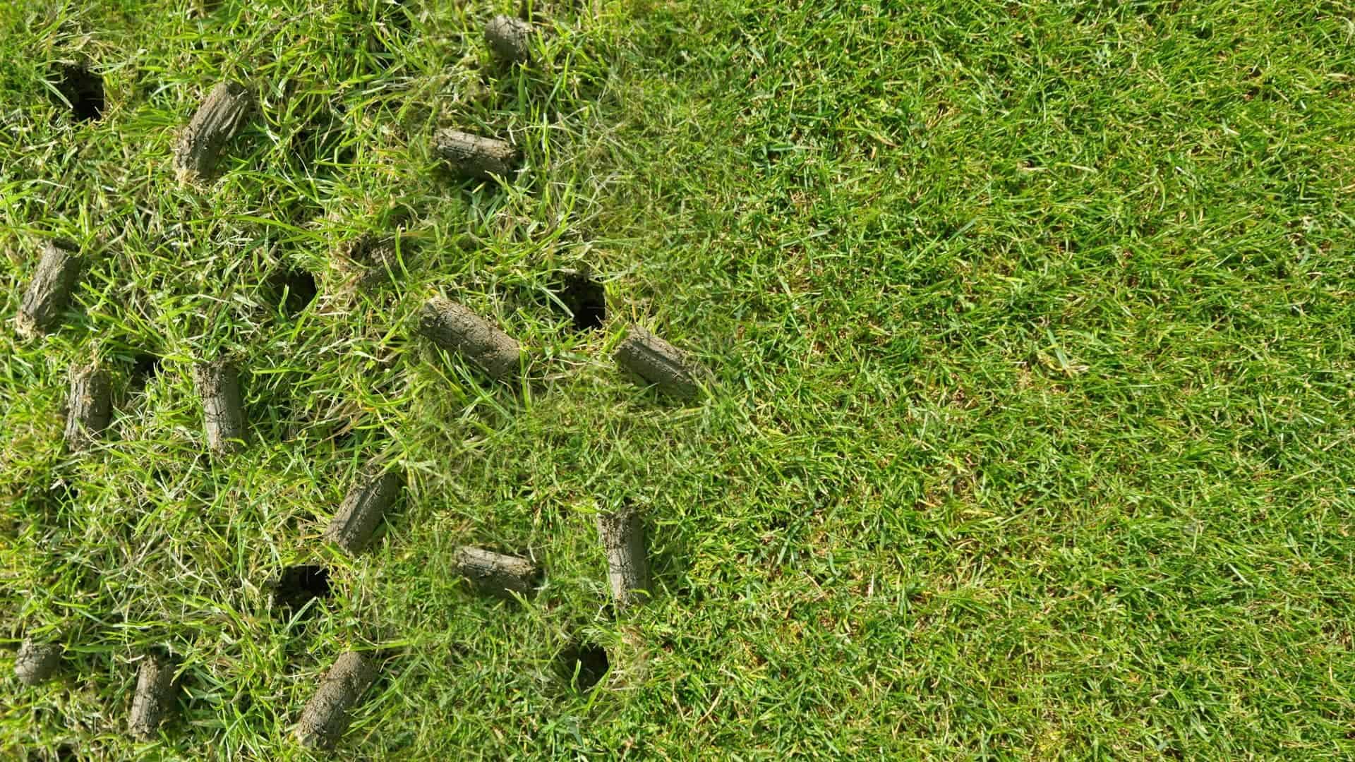 Lawn Aeration Seeding in Reading Allentown Fleetwood PA