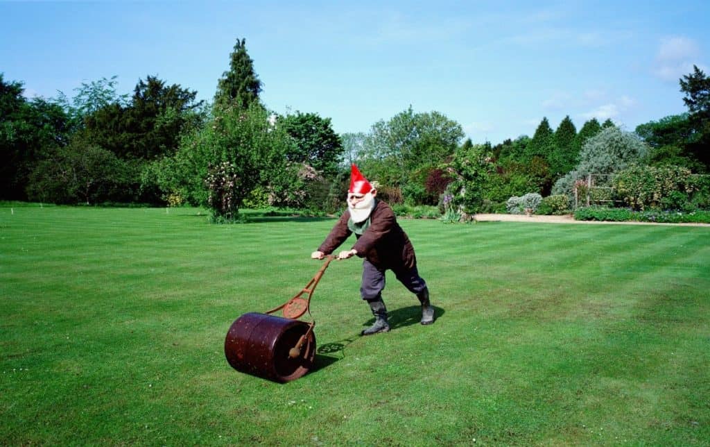 Should I Roll My Lawn?