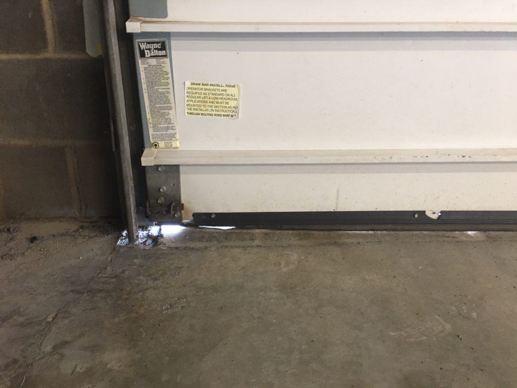 How Do You Keep Mice Out of Your Home Green Giant Home & Commercial