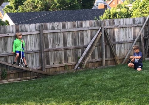 Weed Control Service Lawn
