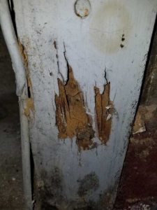 Carpenter Ant damage to a post in the basement of a house in Exeter Pennsylvania