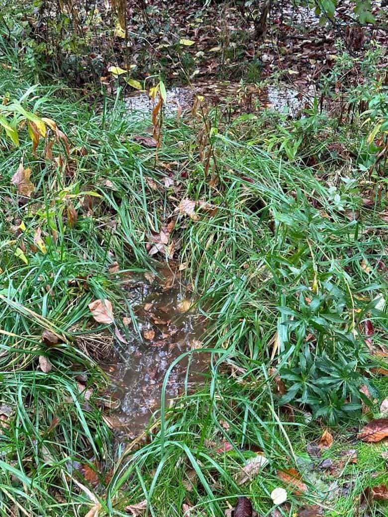 Standing Water in a Marsh Near a Customer's House in Exeter ,Pennsylvania