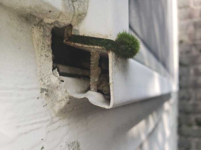 The wood in this window sill was destroyed by carpenter ants