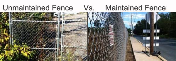 Unmaintained vs maintained fence