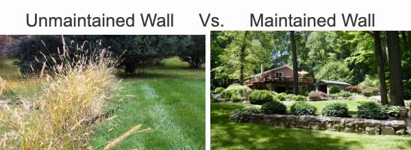 Unmaintained Fence Vs. Maintained Fence
