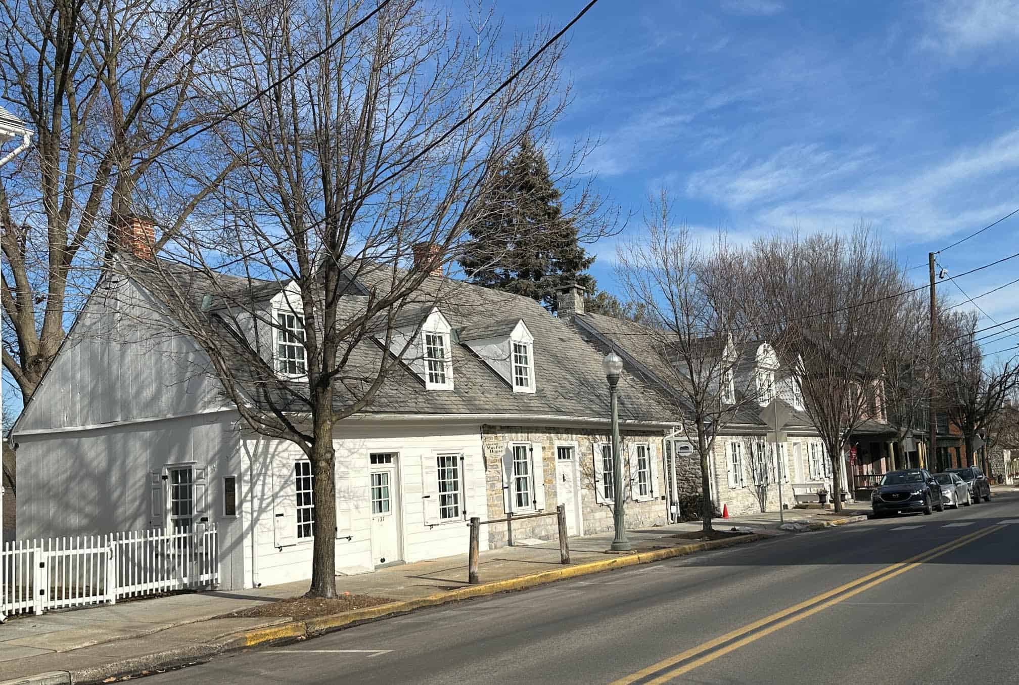 Tree care in Lititz, PA